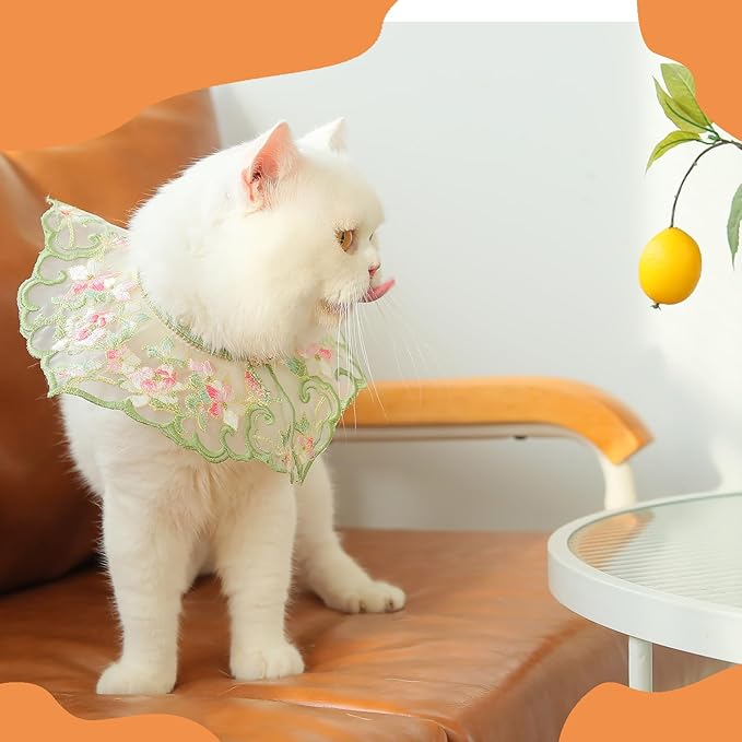 Leo Kitty Pet Clothing for Cats & Small Dogs — Warm & Breathable Collar Outfit, Cat Costume for Halloween & Christmas, New Year Cat & Dog Outfit, Gift-Ready
