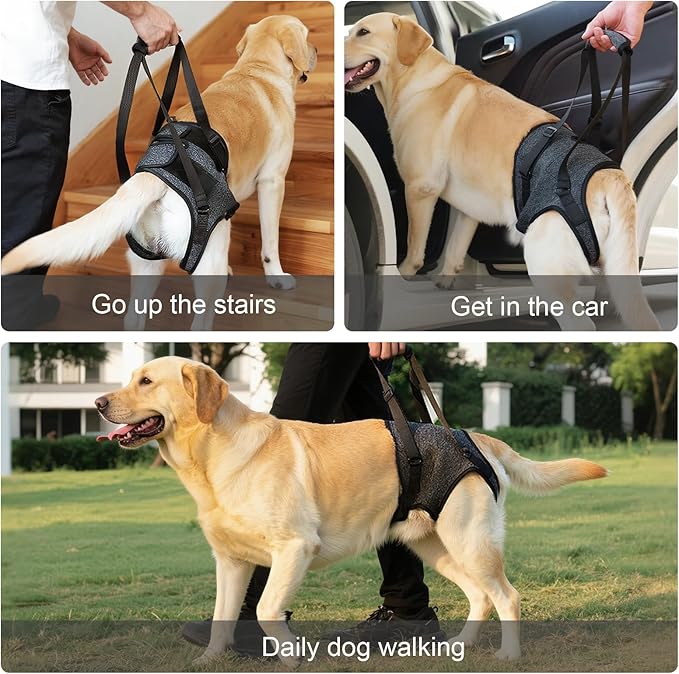Dog Sling for Large Dogs Hind Leg Support, Adjustable Soft Padded Harness for Weak, Injured, or Disabled Back Legs, Helps Support Senior, Arthritic, and Mobility-Impaired Dogs (X-Large)
