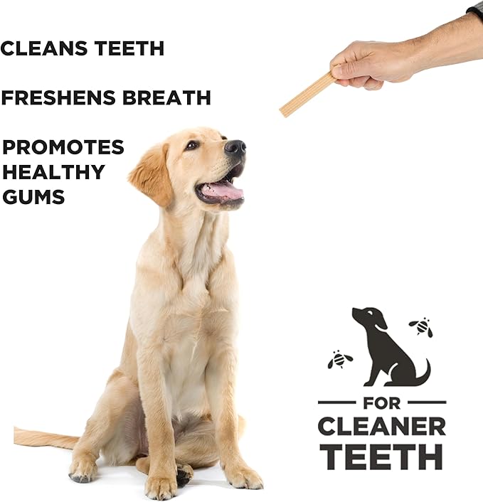 Hive Pumpkin Dental Treats for Dogs — Healthy, Vegetarian, Natural Pumpkin and Honey Flavor, Vegetarian Chews, Made in The USA (Chew Sticks, Large Breeds)-Clean Teeth and Freshens Breath