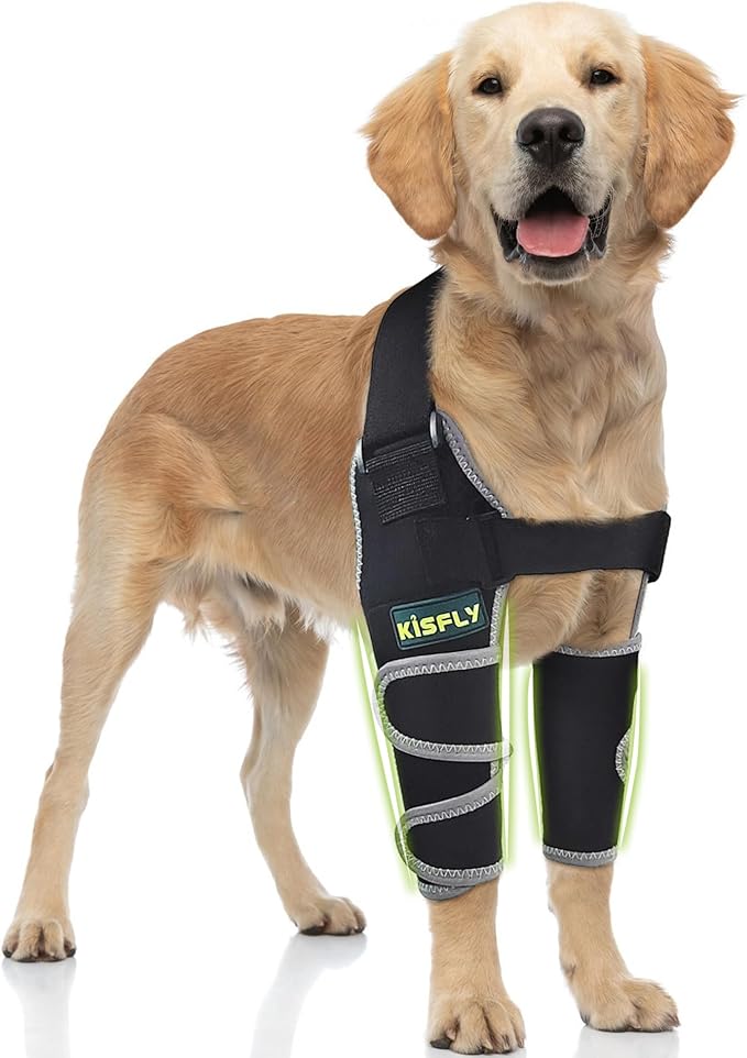 Dog Elbow Protector for Front Legs, Supports Elbow and Shoulder Joints, Helps Reduce Calluses, Pressure Sores & Hygroma, Reflective Design, Both Legs, Size XXL
