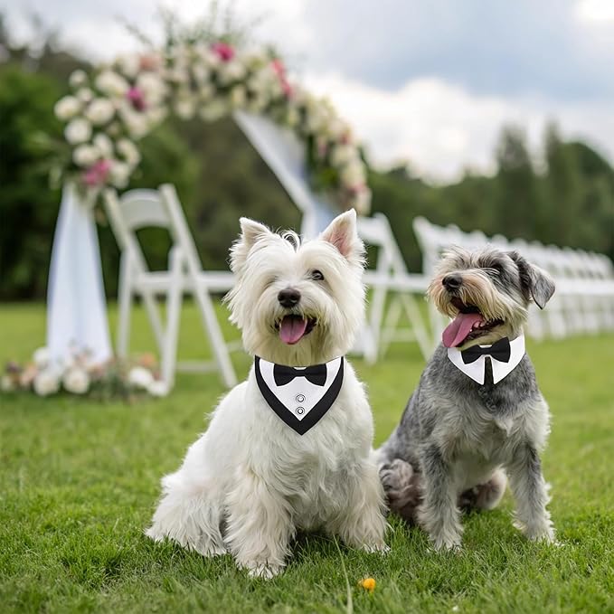 BINGPET Puppy Collar and Leash Set for Small Dogs, Dog Tuxedo Suit Wedding Bandana Collar with Bow Tie & Bell for Boy Dogs, Adjustable Formal Dog Tux Engagement Birthday Tuxedo, Black S