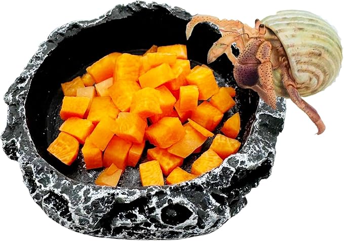 Reptile Water Dish Food Bowl, 3 Pack Reptile Feeding Bowls for Bearded Dragon Lizard Frog Gecko Tortoise Hermit Crab Snail (Black)