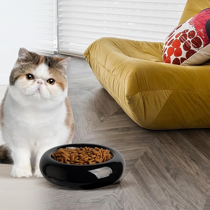 6.1 Inch Cat Bowls, 7 oz Ceramic Cat Food Bowl, Whisker Fatigue Relief Bowl, Anti-Vomiting, Protect Spine, Perfect for Indoor Cats(2pc Black)