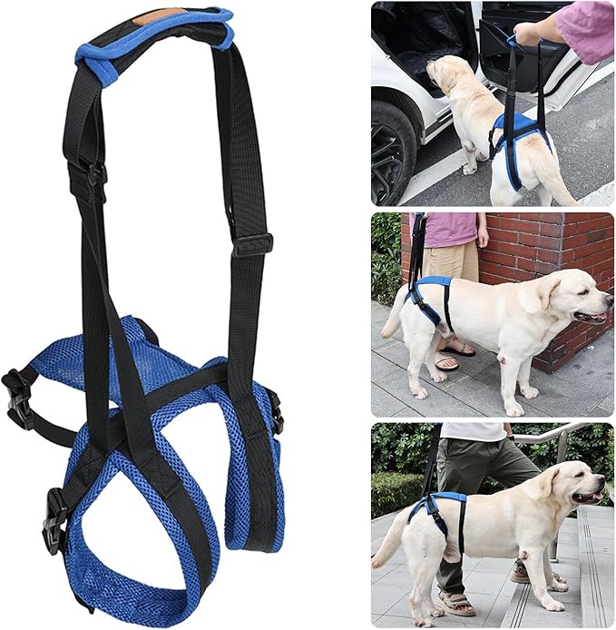 Adjustable Dog Rear Leg Harness Breathable Mobility Aid for Elderly/Disabled Pets Easy Stair Access Dog Joint Pressure Relief Walking Aid