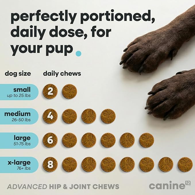 Dog Hip and Joint Supplement with Glucosamine, Chondroitin, MSM, Omega 3s, Green Lipped Mussel – Premium Dog Joint Chews w/Human-Grade & Natural Ingredients, 120 Count
