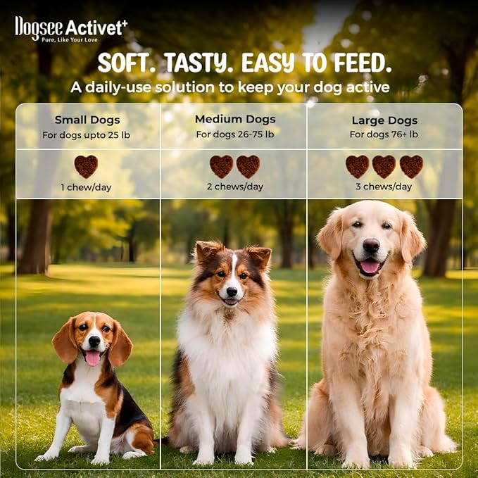 Dogsee Activet+ Dog Skin Coat Supplement Chews, with Omega 3, Omega 6, Biotin & Collagen, Itchy Skin & Shiny Coat Support, Chicken Flavor – 90 Chews