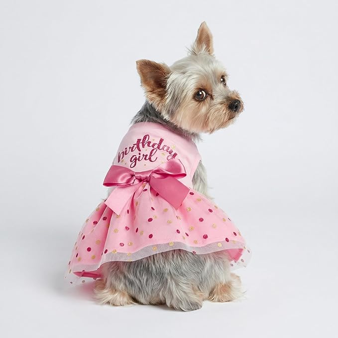 Fitwarm Birthday Girl Dog Tulle Dress, Dog Clothes for Small Dogs Girl, Cat Apparel, Pink, Medium