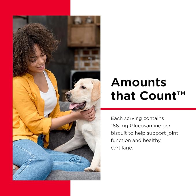 Nutri-Vet Hip & Joint Biscuits, Dog Joint Supplement, Dog Treat, Small Sized Biscuit with 166mg Glucosamine, Puppy Supplements, Tasty Glucosamine Treat, Puppy Essentials, 16 oz (Pack of 2)