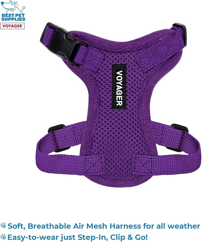 Best Pet Supplies Voyager Step-in Lock Pet Harness w Reflective Pet Leash Combo Set with Neoprene Handle 5ft - Supports Small, Medium and Large Breed Puppies/Cats - Purple, XXS