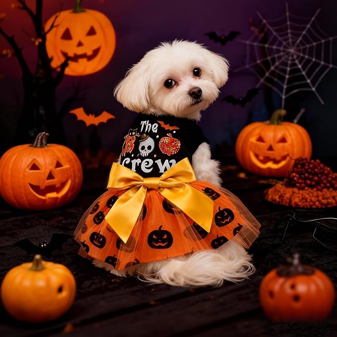 Idepet Dog Dress Halloween, Holiday Puppy Skirt Cute Boo Dog Costume Funny Pumpkin Print Pet Apparel Dog Clothes for Small Dogs Girls and Cats (Medium)