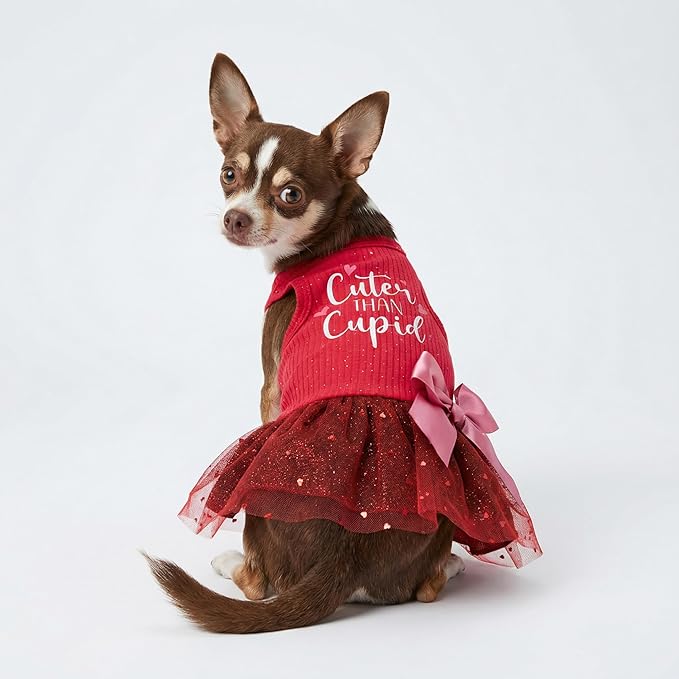Fitwarm Cuter Than Cupid Dog Tulle Dress, Cute Girl Dog Clothes, Funny Pet Apparel, Burgundy Red, XXS