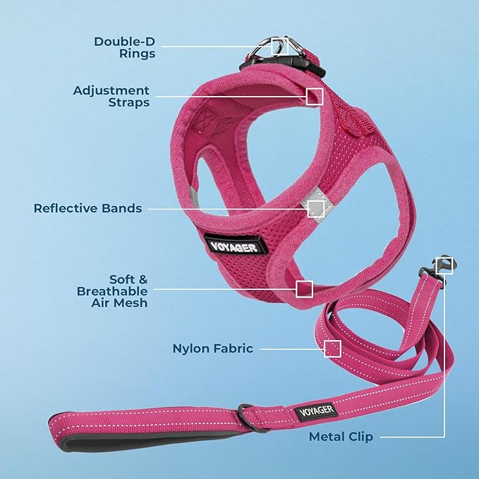 Best Pet Supplies Voyager Step-in Air All Weather Mesh Harness and Reflective Dog 5ft Leash Combo with Neoprene Handle, for Small, Medium and Large Breed Puppies - Set (Fuchsia), XX-Small