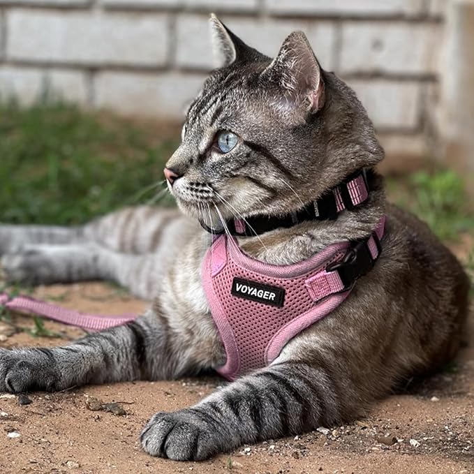 Best Pet Supplies Voyager Step-in Lock Pet Harness w Reflective Pet Leash Combo Set with Neoprene Handle 5ft - Supports Small, Medium and Large Breed Puppies/Cats - Pink, XL