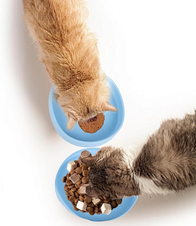 Cat Silicone Dog Bowls, Non Slip Dog Food Cat Feeding Plates, Drinking Pet Bowl for Dry and Wet Food, 10 OZ/330ML Water Bowl for Small Pets 2PCS (Blue)
