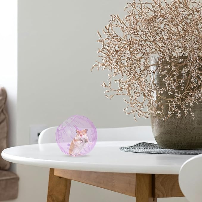 POPETPOP Hamster Running Ball Toy 4 Inch Transparent Exercise Ball for Small Pets Including Hamsters and Guinea Pigs Safe Portable Small Pet Toy for Active Play