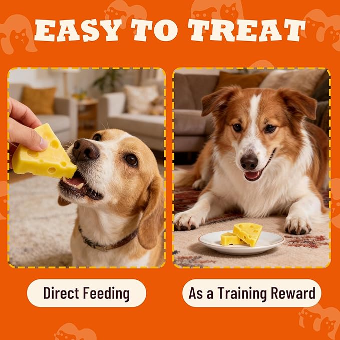 14.1oz Pumpkin Cheese Dog Treats - High-Protein Cheese Treats for Digestive Health & Calcium Support - Natural Chewy Puppy Training Snacks