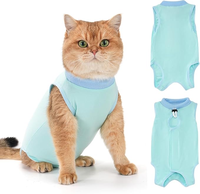 Avont Cat Recovery Suit for Surgery, Breathable Anti-Licking Onesie for Kittens, Surgical Post-Operative Protective Bodysuit, Comfortable Alternative to E-Collar -Mint (S)
