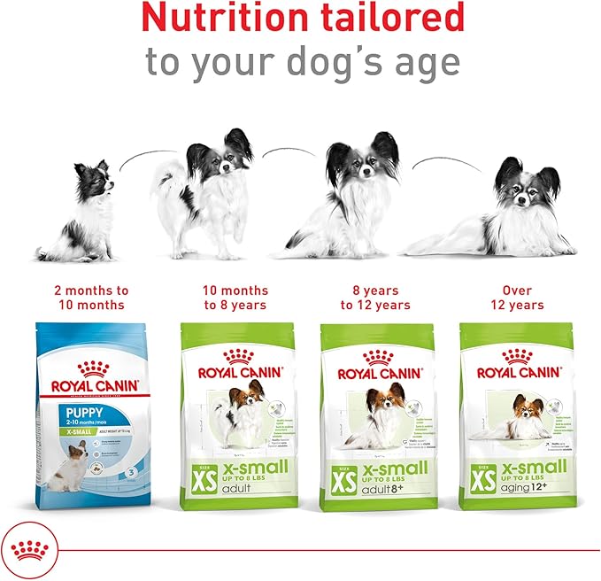 Royal Canin Size Health Nutrition X-Small 8+ Senior Dry Dog Food, 2.5 lb Bag