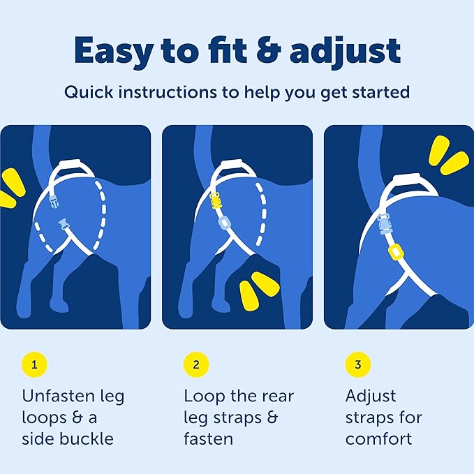 PetSafe Adjustable Dog Lifting Harness - Senior & Disabled Dog Rear Mobility Support - Easy-Fitting, Breathable Belly Straps with Lifting Aid Handle & Shoulder Strap - For Medium Dogs 35-70 lb