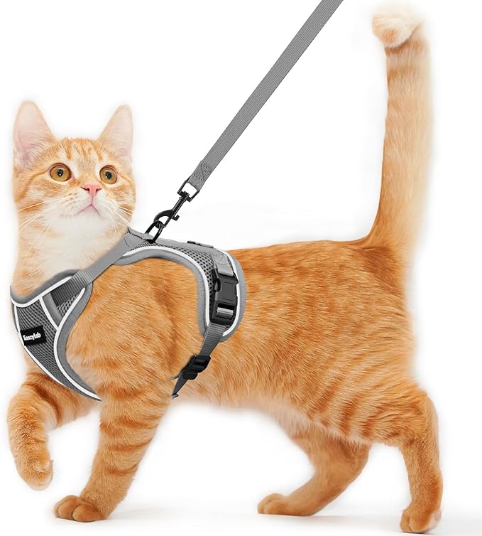 Cat Harness and Leash for Walking Escape Proof Soft Adjustable Cat Leash Breathable Comfortable Vest Easy to Wear Kitten Harness for Outdoor Travel (Grey, XS (4-6lb))