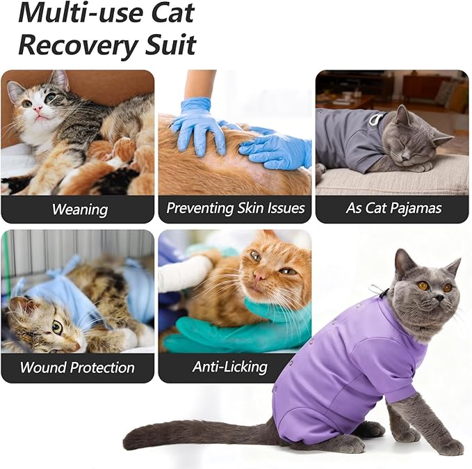 Dotoner Cat Recovery Suit After Surgery Spay Recovery Suit for Female Cats Soft Protective Clothing E-Collar Alternative for Wound Care Post Surgery Apparel(Purple-L)