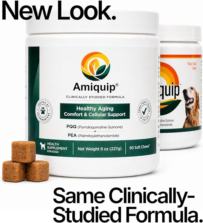 Amiquip® Dog Supplement for Senior Dogs – Longevity, Comfort & Joint Support, Clinically Studied Formula, 90 Soft Chews for Daily Healthy Aging with PQQ & Palmitoylethanolamide
