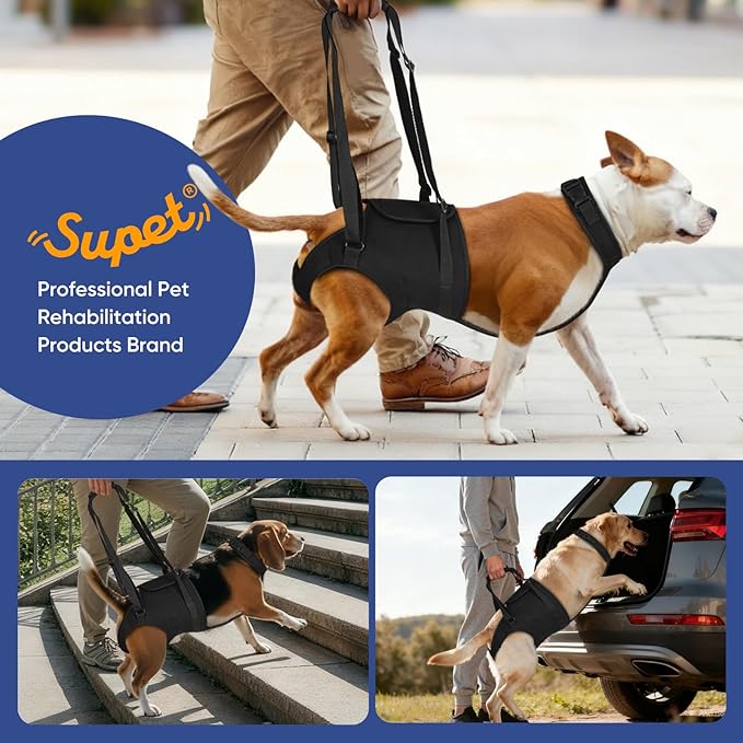 Supet Dog Sling for Large Dogs Hind Leg Support, Senior Dogs Lift Assist Harness for Weak Back Leg Support, Help Large Breed Rear Leg Up Harness, Mobility Aids for Elderly, Injured, Paralyzed Dog, 2XL