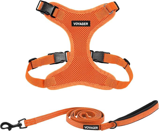 Best Pet Supplies Voyager Step-in Lock Pet Harness w Reflective Pet Leash Combo Set with Neoprene Handle 5ft - Supports Small, Medium and Large Breed Puppies/Cats - Orange, XS
