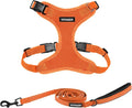 Best Pet Supplies Voyager Step-in Lock Pet Harness w Reflective Pet Leash Combo Set with Neoprene Handle 5ft - Supports Small, Medium and Large Breed Puppies/Cats - Orange, XS