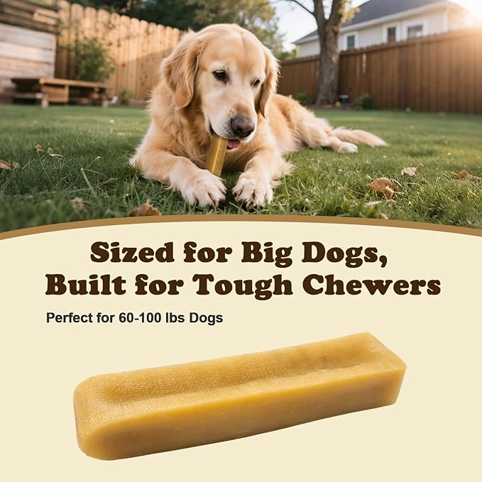 Yak Cheese Dog Chews – Long Lasting Hard Chew for Aggressive Chewers, 3-Ingredient Natural Dog Treats – High Protein, Odor-Free, Rawhide-Free for Large Dogs (Large - 4 Chews)