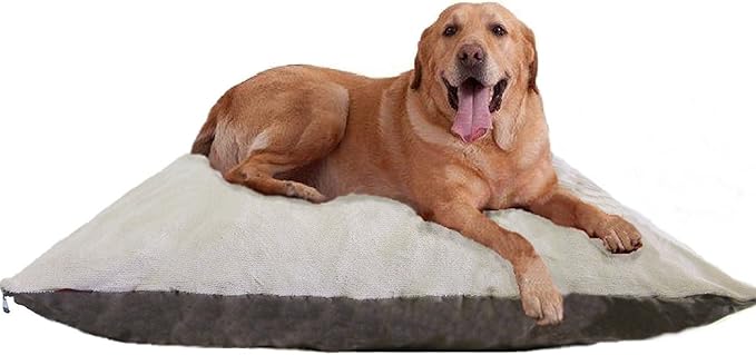 54"X47" XXXL Beige Color Jumbo Orthopedic Micro Cushion Memory Foam Pet Bed Pillow for XLarge dog with 2 external covers + Waterproof Internal cover