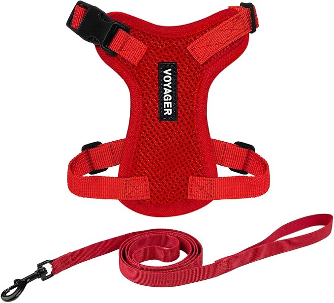 Voyager Escape-Proof Step-in Lock Cat Harness & 5ft Neoprene-Handle Leash Set All-Weather Mesh with Reflective Stitching for Small to Large Cats by Best Pet Supplies, Red, XXXS