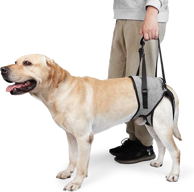 JOHNBOLIN Dog Lift Harness, Dog Sling with Padded, Hind Leg Support to Help Rehabilitate, Helps Senior, Injured, Disabled and After ACL Surgery Dogs (Grey, X-Large)