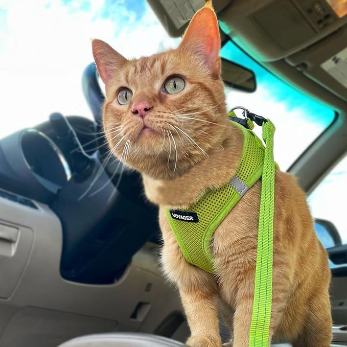 Voyager Step-in Pet Harness - All Weather Mesh, Adjustable Step in Harness for Cats and Dogs by Best Pet Supplies - 307S Lime Green, S