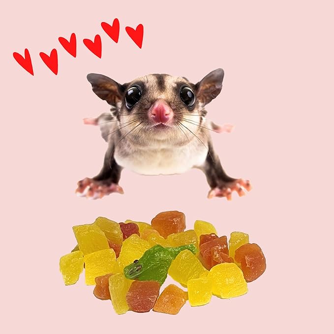 Large Pack Fish Sticks + Mixed Dried Fruit and Vegetable Pellets - Sugar Glider, Squirrel, Hamster and Small Exotic Pet Treats/Food