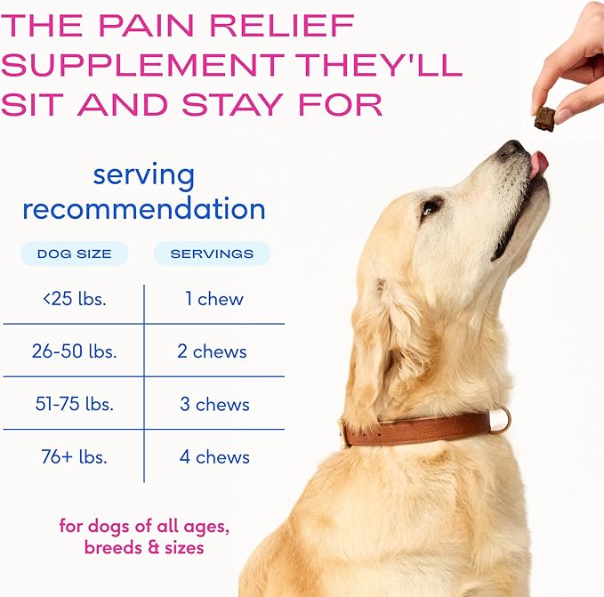 Native Pet Inflammatory Care - Pain Relief for Dogs - Green-Lipped Mussel, Turmeric & Collagen for Dogs - Hip and Joint Supplement Supports Healthy Inflammatory Response & Joint Comfort - 60 Chews