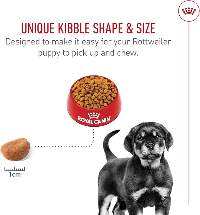 Royal Canin Breed Health Nutrition Rottweiler Puppy Dry Dog Food, 30 lb Bag