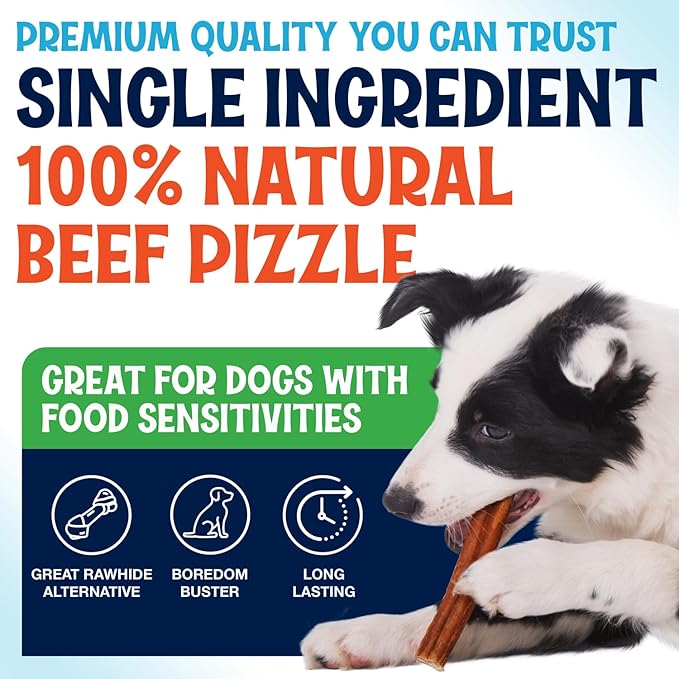 Odor-Free Thin Bully Sticks (12 Inch, 10 Pack), 9 Ounce Bag, Fully Digestible 100% Beef Pizzle Chews, Grass-Fed, Non-GMO, Grain-Free, Natural Long-Lasting Chews for Small & Large Dogs