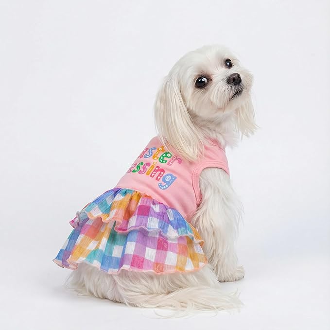 Fitwarm Easter Blessing Dog Dress, Easter Outfit for Small Dogs Girl, Colorful Pet Clothes, Pink, Blue, Orange, White, Medium