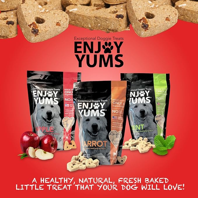 Apple Dog Treats – 1 lb Bag – All-Natural, Low Sugar, Baked Dog Biscuits with Real Apples – Vet-Endorsed – USA Made