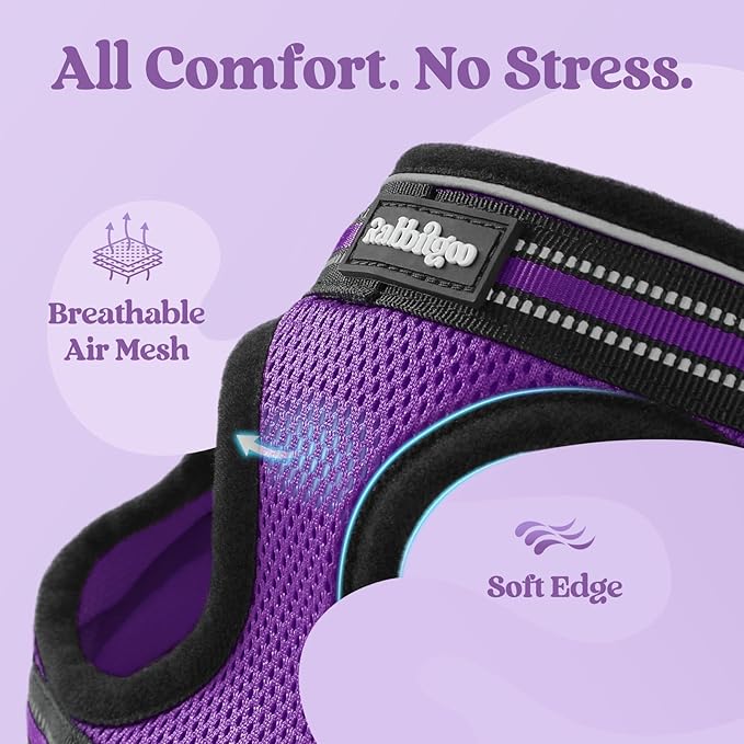 rabbitgoo Cat Harness and Leash Set for Walking Escape Proof, Adjustable Soft Kittens Vest with Reflective Strip for Cats, Comfortable Outdoor Vest, Purple, XL