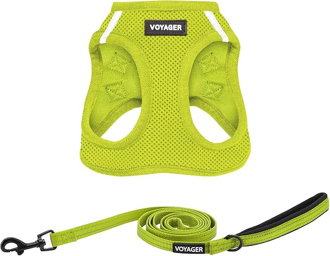 Best Pet Supplies Voyager Step-in Air All Weather Mesh Harness and Reflective Dog 5ft Leash Combo with Neoprene Handle, for Small, Medium and Large Breed Puppies - Set (Lime Green), Small