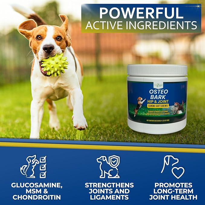 Osteo Bark Hip & Joint Canine Soft Chews, 60 Count, Bone and Joint Support for All Dog Breeds - Glucosamine & Chondroitin Chews with MSM - Pain, Inflammation, Arthritis