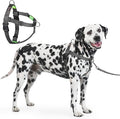 Freedom No Pull Dog Harness for Large Dogs, Easy Walker, Anti Pull with Two Stainless D-Rings, Comfortable, Sewn-in Instructions Tags for Easy Use (Black, XL)