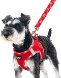 PUPTECK Dog Harness and Leash Set for Small Medium Dogs No Pull Step-in Soft Mesh Puppy Cat Vest Harnesses Reflective at Night, Red, M