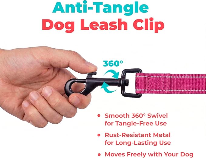 Best Pet Supplies Voyager Reflective Dog Leash or Collar with Neoprene Handle, for Small, Medium, and Large Breed Puppies, Cute and Heavy Duty for Walking, Running and Training - Fuchsia (Leash), M