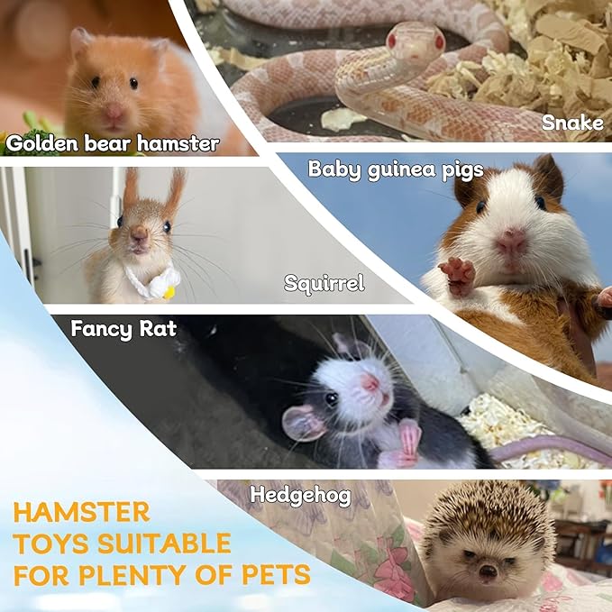 Hamiledyi Wooden Hamsters 2-Chamber Hideout-Tunnel Multi Chamber Exploring Toy Rat Exploring Tunnel Toy for Mice Guinea Pig Hedgehog Squirrel Sugar Glider