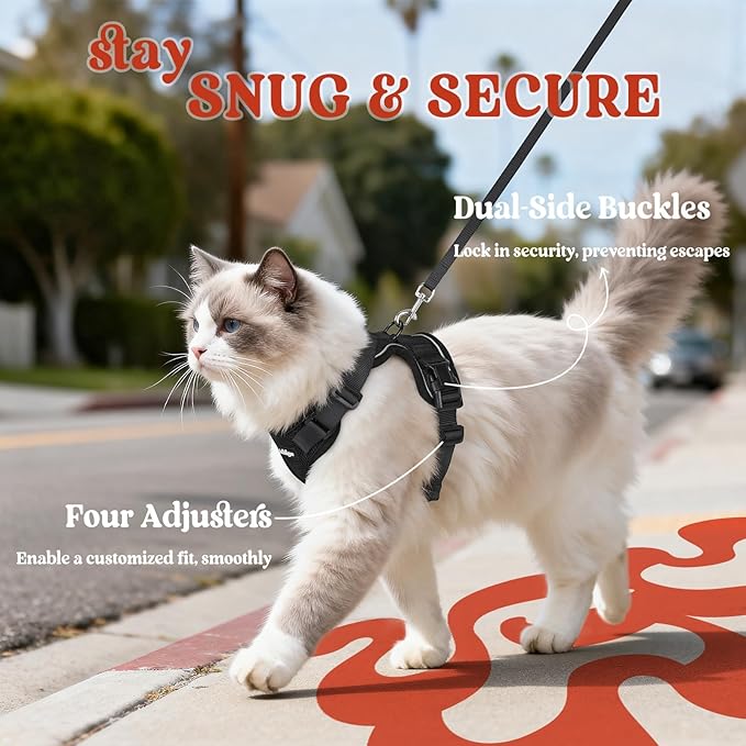 rabbitgoo Cat Harness and Leash for Walking, Escape Proof Soft Adjustable Vest Harnesses for Cats, Easy Control Breathable Reflective Strips Jacket, Black, M