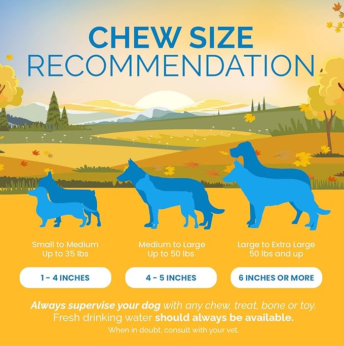 123 Treats Pig Ears Strips for Dogs - (16 Ounce) 100% Natural, Long Lasting & Highly Digestible Chew Treats, Single Ingredient, Slow Baked, Great for Puppy, Large & Medium Dogs