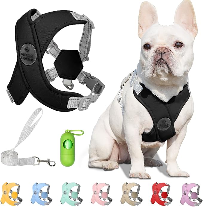 Patas Lague Dog Harness with Leash Set Adjustable Soft Padded Step-in Dog Vest No Choke No Pull Reflective for Small Pets with Poop Bags and Dispenser, Solid and No-chew, Black XS